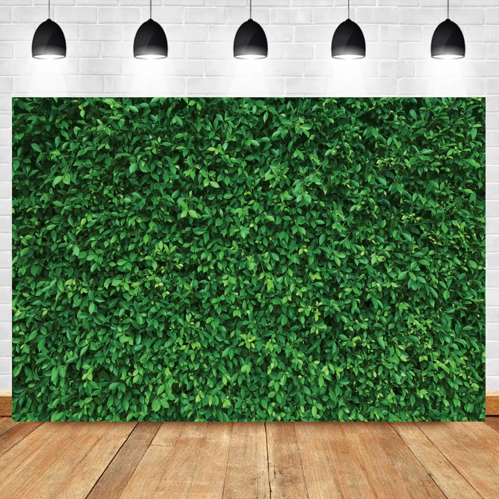 

Laeacco Tropical Green Vine Wall Birthday Party Love Portrait Photography Backgrounds Photocall Photographic Backdrops