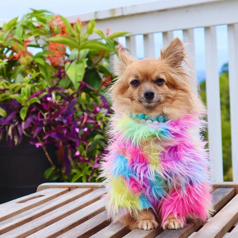 Luxury Dog Clothes for Small Dogs Jacket Coat Pet Clothing Polyester Winter Fluffy Rainbow Dogs Costume Clothes Accessories