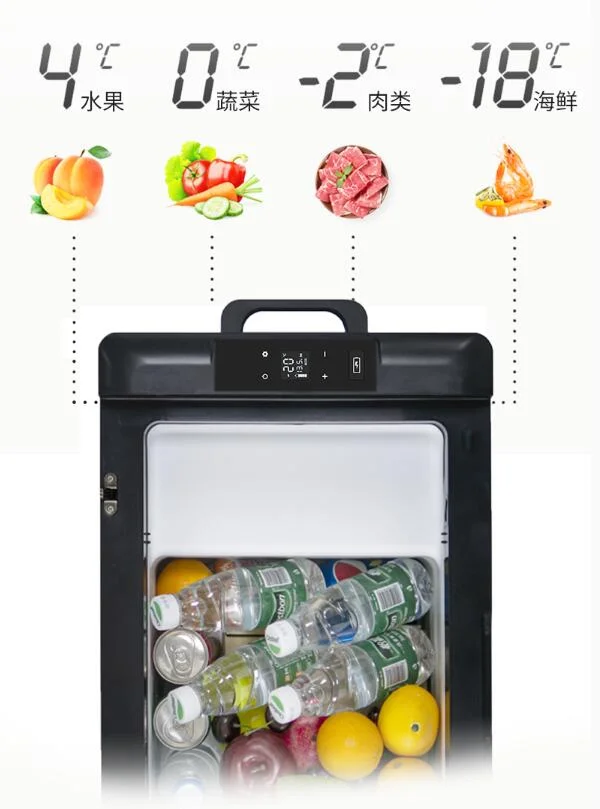 Портативный Alpicool 50L автомобильный домашний холодильник мини-холодильник AC100-240V DC12/24V Холодильное хранилище уличный бытовой компрессор одиночный