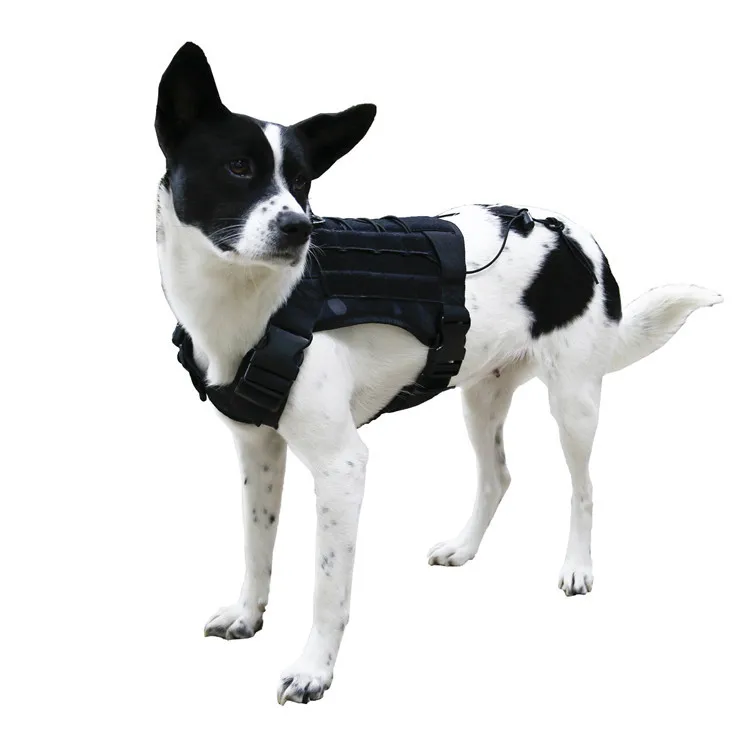 

Guiduo Duoduo New Tactical Dog Clothing Pet Tactical Vest Outdoor Training Dog Clothes Dog Pet Supplies