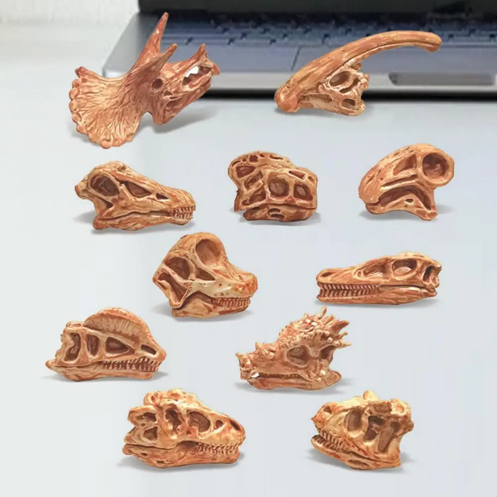 Hot Sales 11Pcs/Set Dinosaur Fossil Model High Simulation Hand-painted Vivid Carnotaurus Dinosaur Skull Fossil Figurine for Kids