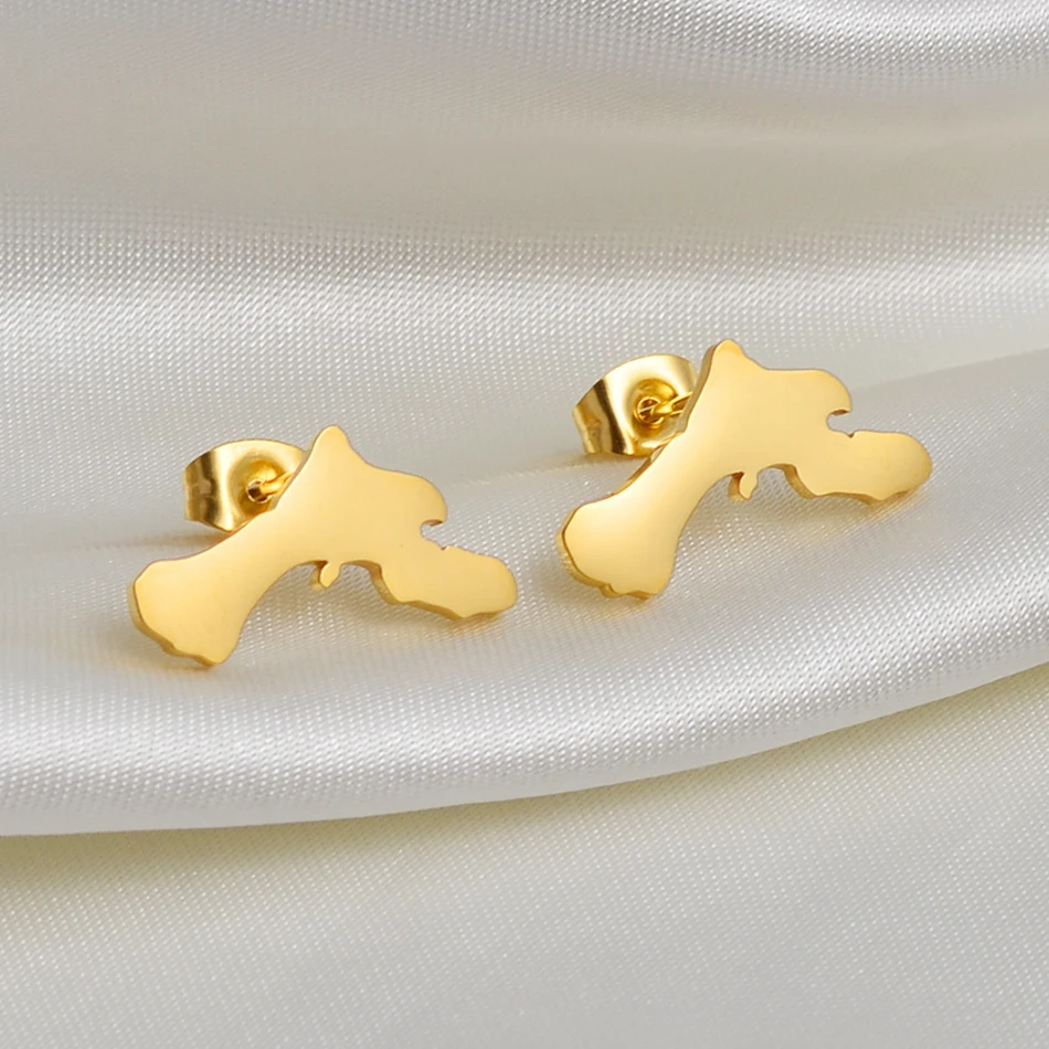 Anniyo Bonaire Map Stud Earrings Antilles Gold Color Silver Color Stainless Steel Jewelry for Women Girls Netherlands #243421