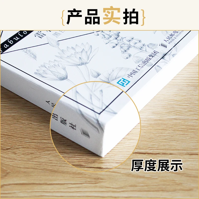 Boceto de lápiz, ilustración de flores en blanco y negro, libro tutorial, boceto, curso de introducción