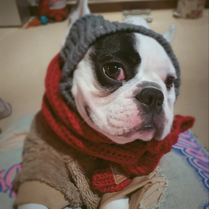 Winter Dog Cap Christmas Pet Hats Small Dogs French Bulldog Dog Accessories Woolen Puppy Hat With Ball Headwear Pet Products