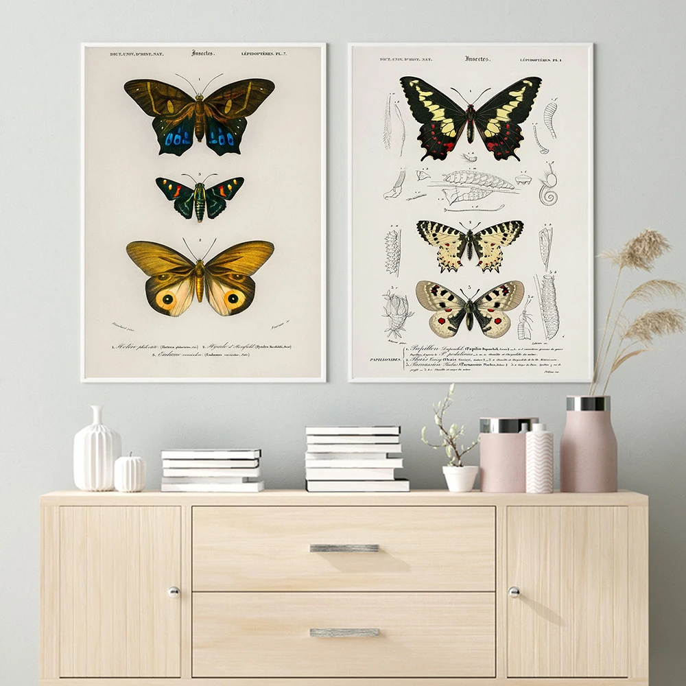 Butterfly Insect Vintage Poster Papillons Print Canvas Painting Education Wall Art Canvas Painting Picture Kids Room Home Decor