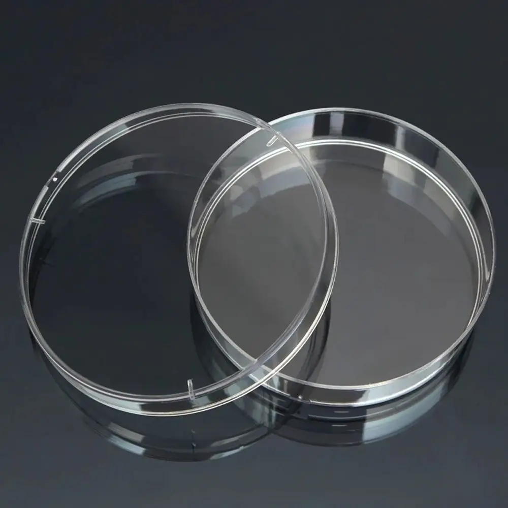 Plásticos Pratos de Petri Estéril, Prato de Cultura de Bactérias com Tampas, Laboratório Biológico Científico Material Escolar, 55x15mm, 10Pcs