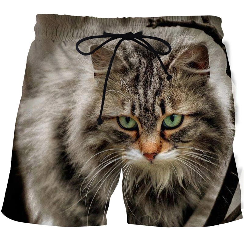 

2021 new animal cat shorts fashion harajuku 3D print man swimsuit casual shorts male female beach short pants swim shorts