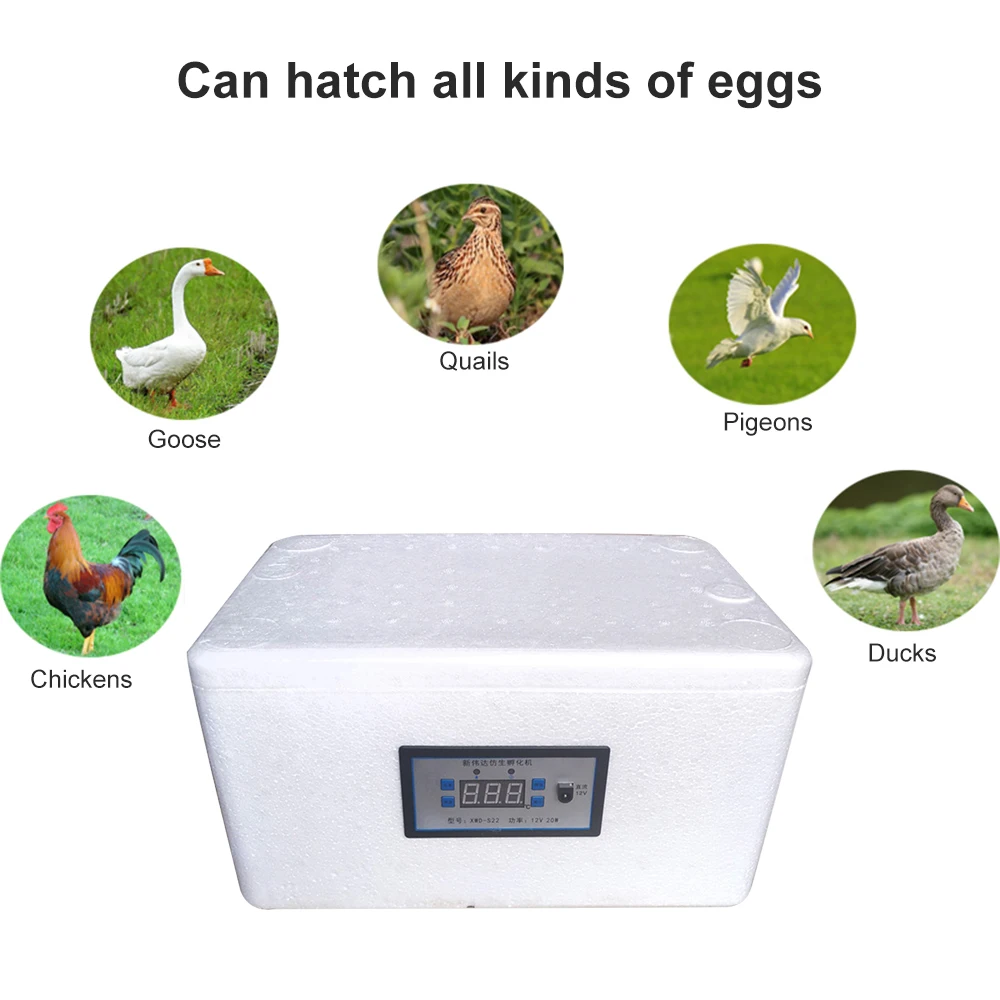 22 Eggs Automatic Temperature Control Incubation Tools Incubator Household Foam Bionic Incubator for Chicken Poultry Foam