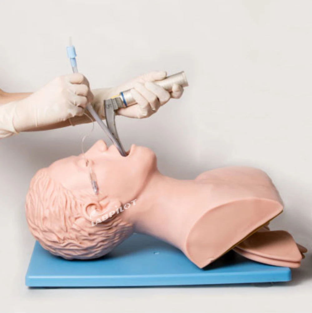 Electronic Tracheal Intubation Simulator Airway  Head Model, Adult Oral and Nasal Tubing Trainer