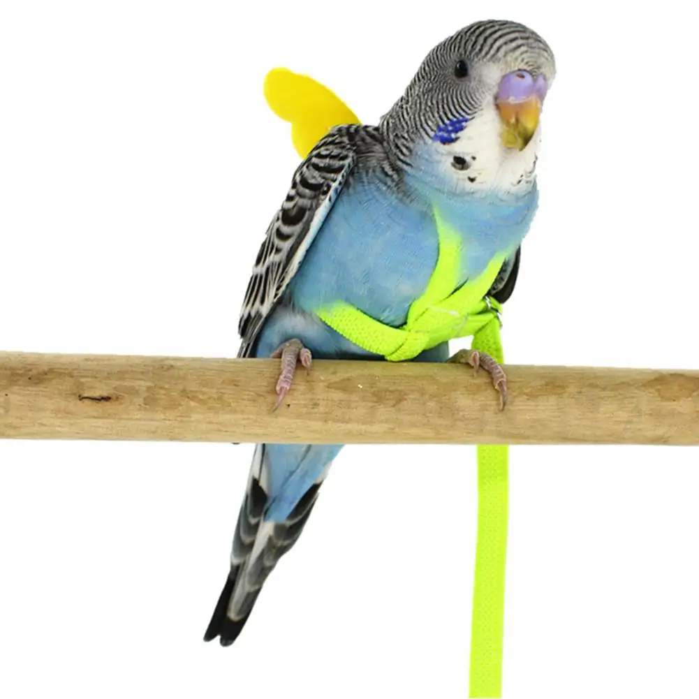 Pet Parrot Bird Harness And Leash Flying Rope Straps Outdoor Training Traction Rope For Budgerigar Lovebird Cockatiel Birds