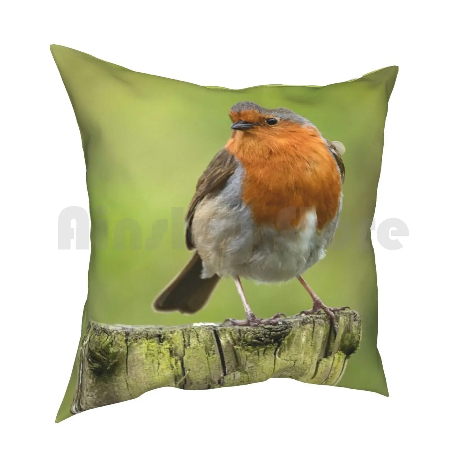 Robins Appear When Loved Ones Are Near Pillow Case Printed Home Soft DIY Pillow cover Robin Bird British Robin Red Breast