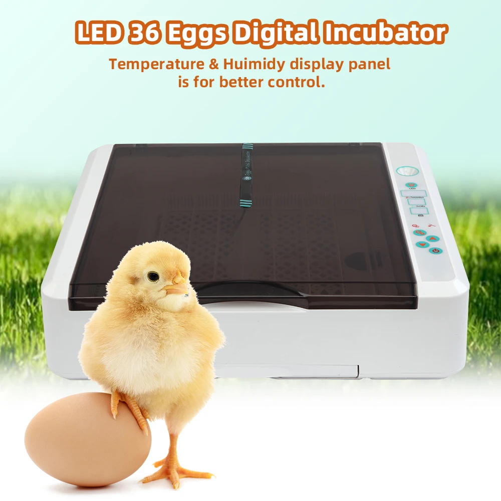 Digital Egg Incubator 36 Egg Practical Fully Automatic Poultry Incubator with LED Light US Plug Farm Hatchery Machine