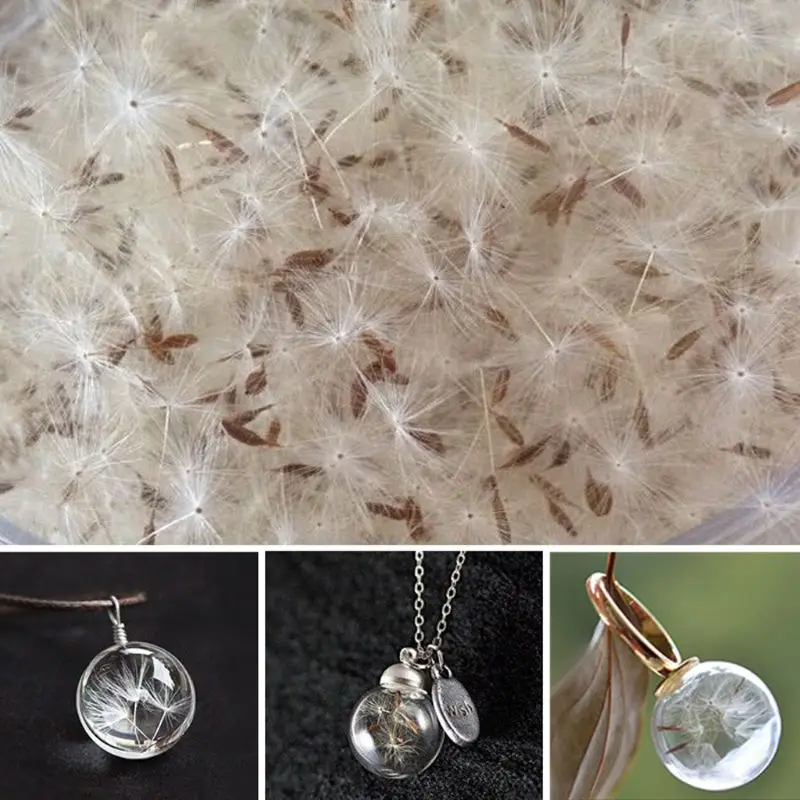 100Pcs Natural Dandelion Seed Small Glass Ball Fillings Resin Wish Dried Pressed Flower Earrings Necklace Jewelry Making
