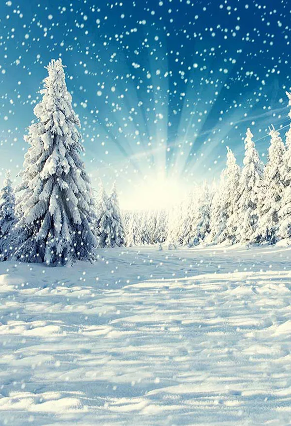 Mehofond Winter Wald Hintergrund Sonnenschein Schneefeld Baum Schneeflocke Baby Dusche Portrait Fotografie Hintergrund Foto Studio Requisiten