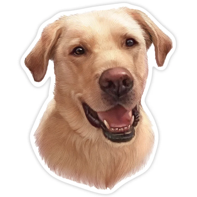 

S40243# Various Sizes PVC Decal Golden Retriever White Car Sticker Waterproof on Bumper Rear Window Laptop Refrigerator Toilet