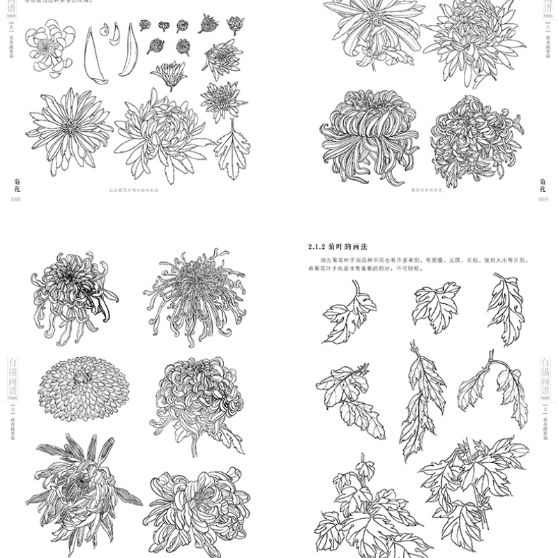 Classic Complete Works Line Drawing 5000 Cases Book Traditional Chinese Meticulous Painting Technique Flower Fruit Coloring Book