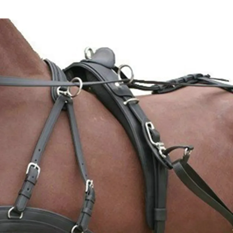 Raccordo Hardware per imbracatura per cavallo con fibbia in pelle in acciaio inossidabile da 10 pezzi