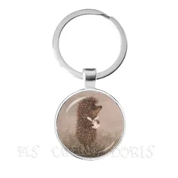 Little Hedgehog In The Fog Key Chains 25mm Glass Dome Keychain Yozhik v tumane Creative Jewelry For Women Men Kids Gift