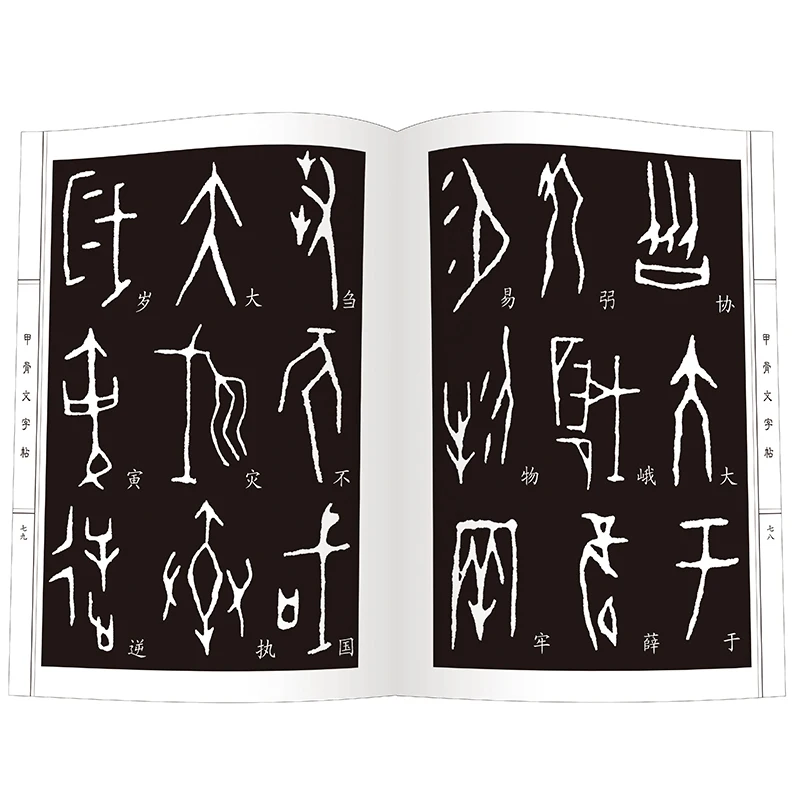 New Oracle Calligraphy copybook Chinese calligraphy dictionary book