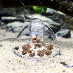 Aquarium Fish Plant Tank Plastic Clear Snail Trap Catcher Plants Planarian Pest Catch Box Leech Environment Clean Tool New