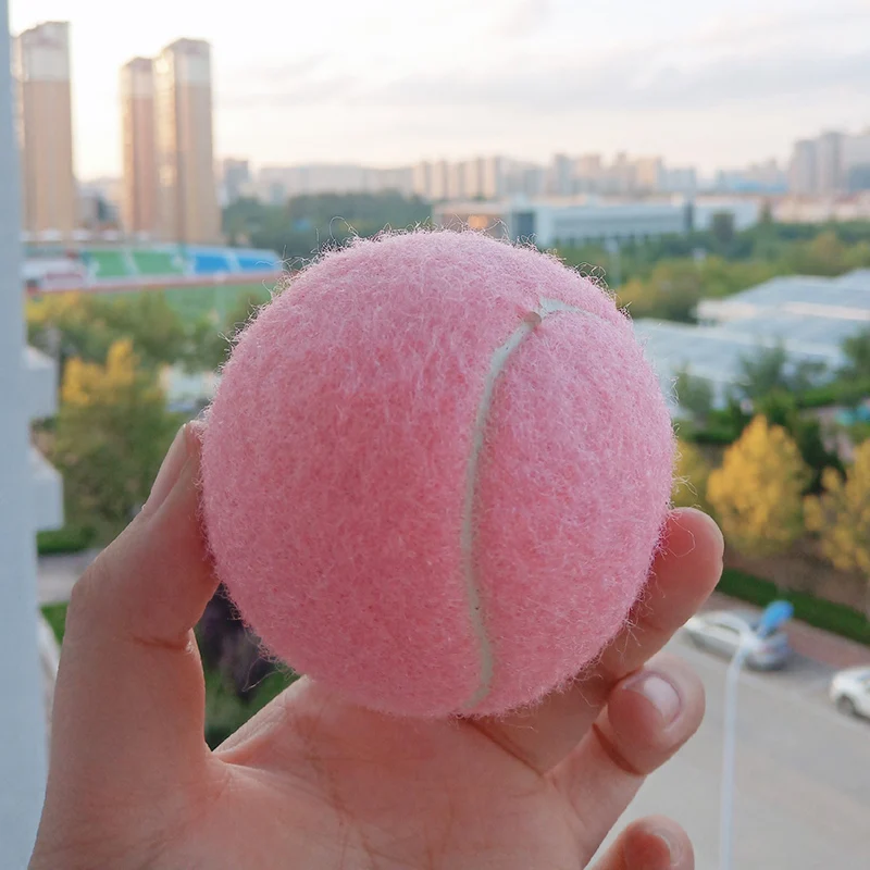 Pelotas de tenis rosas resistentes al desgaste para mujer, pelotas de entrenamiento elásticas de 66mm para principiantes, práctica de pelota de tenis para Club Escolar, paquete de 6 uds.