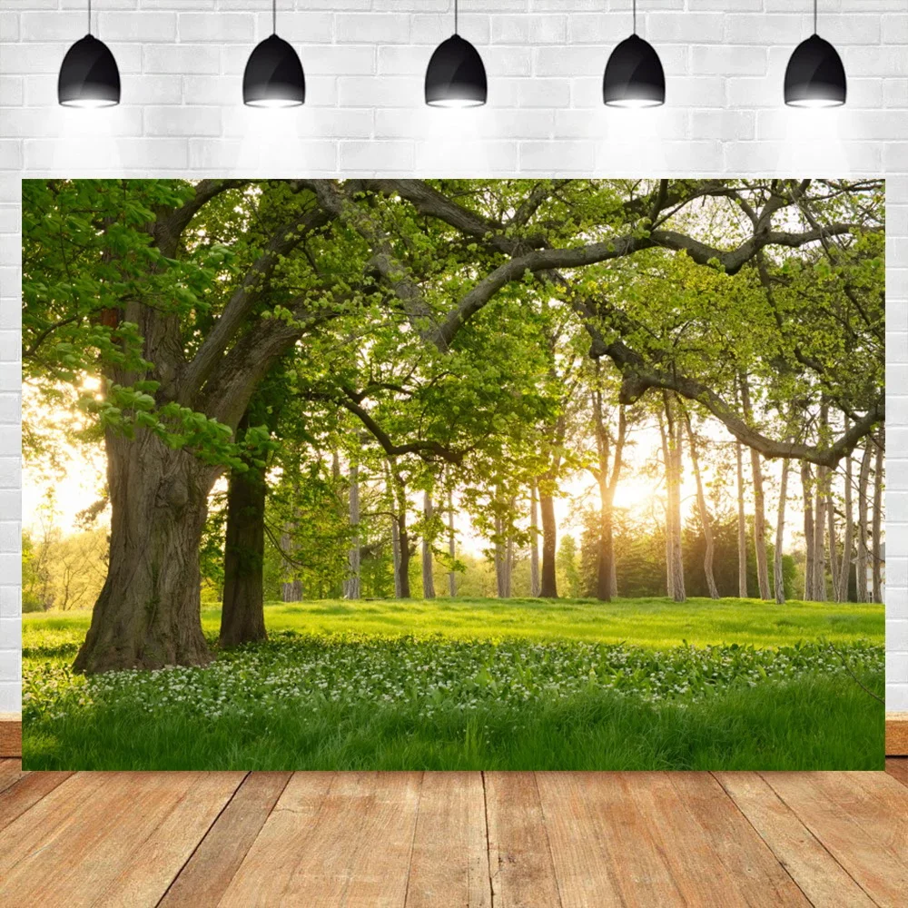 Laeacco Spring Old Tree Green Grass Filed Natural Scenic Photography Backgrounds Poster Photocall Backdrops For Photo Studio