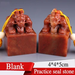 Blank Practice Seal Stone Shoushan Stone Painting Calligraphy Stamp Material Art Students Supplies