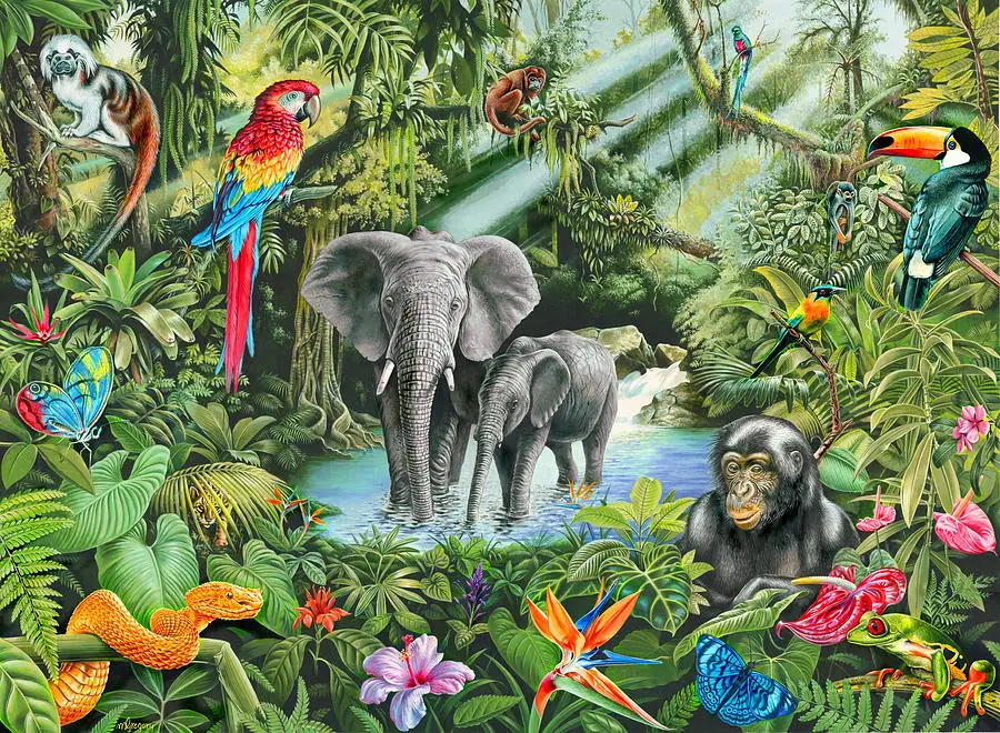 JMINE Div 5D African Safari Wildlife Zoo  Elephant jungle parrot Full Diamond Painting kits art Animal 3D paint by diamonds