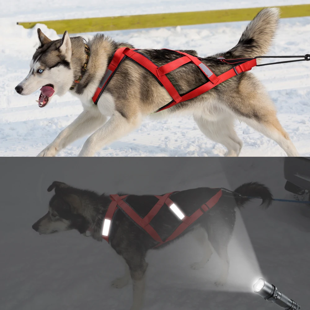 Wasserdichtes Hundes ch litte geschirr reflektieren des Haustiers ch litten skijoring geschirr große große Hunde gewichts zug weste für das Haustier training