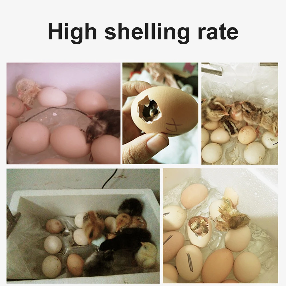 20 Eggs Incubator Brooder Bird Quail Chick Hatchery Automatic Egg Incubator Poultry Hatcher Turner Automatic Temperature Control