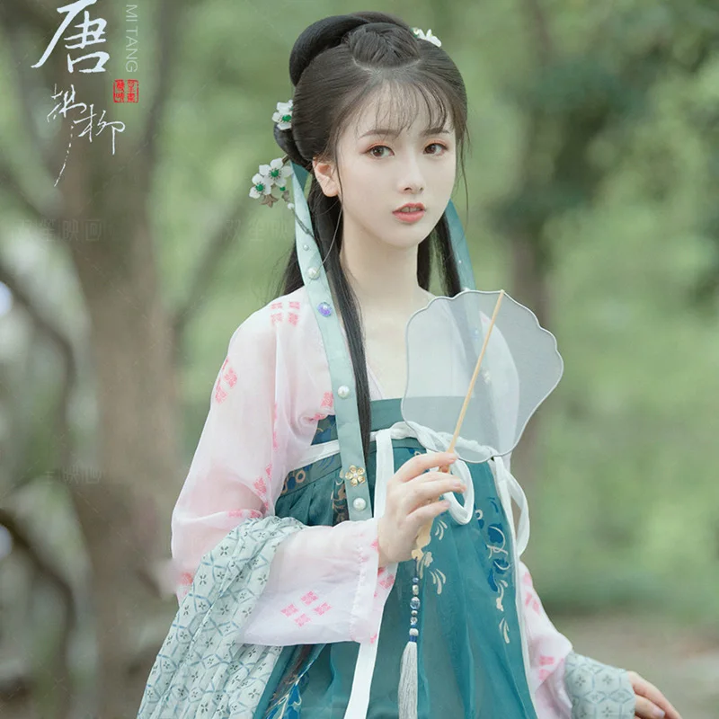 

WYJN Light Blue Tang Dynasty High Waist Ruqun Print Chiffon Embroidery Fairy Cosplay Hanfu Photography Exhibition Stage Costume