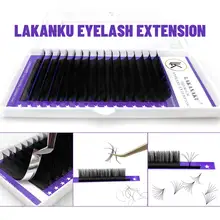 Silk Lash Extensions #2