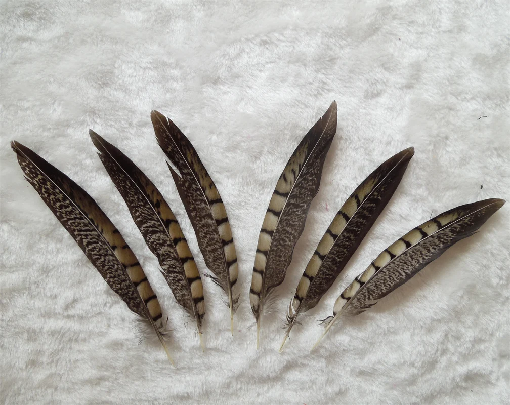 Plume! 10 Pieces/Lot Beautiful Natural  LADY AMHERST Pheasant Tail Feathers, 10-15cm,15-20cm Diy Crafts Decoration