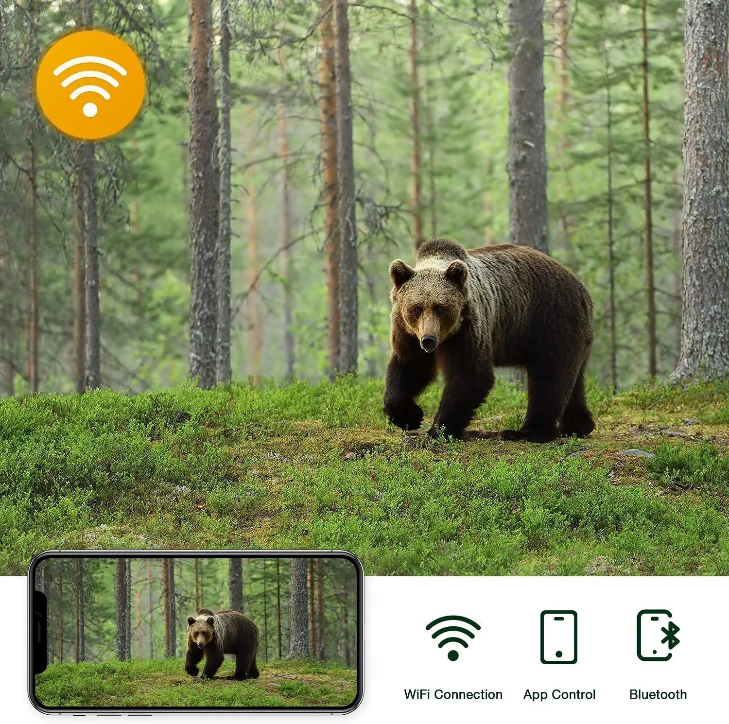 WIFI900 4k WLAN-Jagdkameras 940nm APP-Überwachung Drahtlose Bluetooth-Steuerung Nachtsicht Wildtier-Fotofallen-Kamera – Detail 6