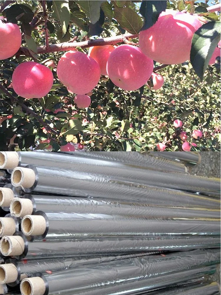 

Agricultural High Light Reflective Mylar PET Film, Greenhouses, Fruit Trees, Apple Grapes, Increasing Temperature Light, 1m Wide