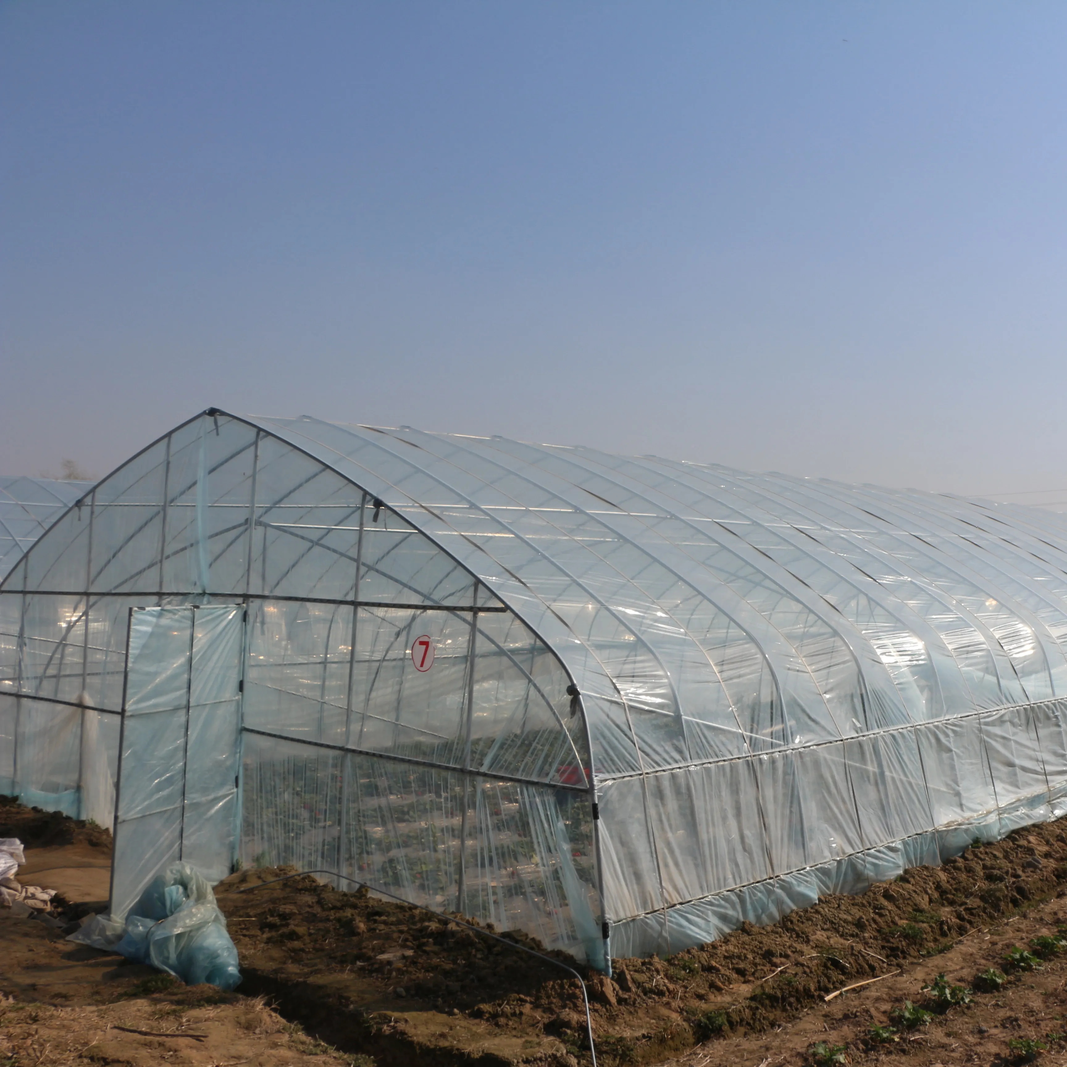 8Mx10M Agricultural planting strawberry cucumber tomato steel tube greenhouse structure