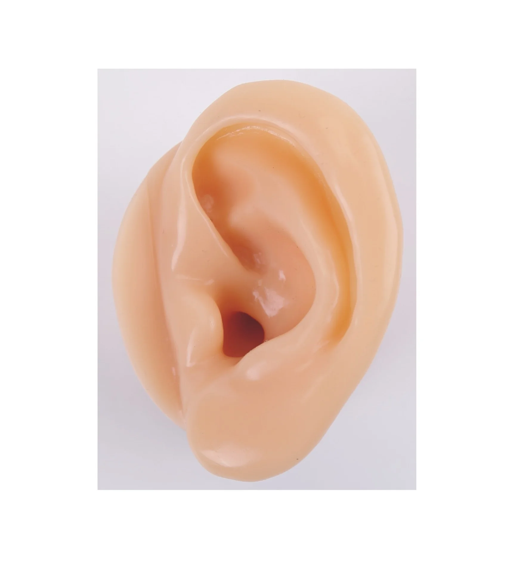 Fake ear model asmr decompression voice control recording equipment dedicated ear soft silicone material