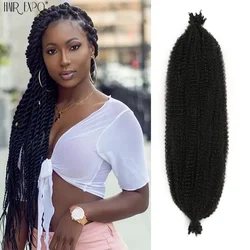 Extensions de tresses synthétiques Afro crépues et bouclées, 24 pouces, tresses Marley pures et ombrées au Crochet, cheveux Marley en vrac, noires et brunes