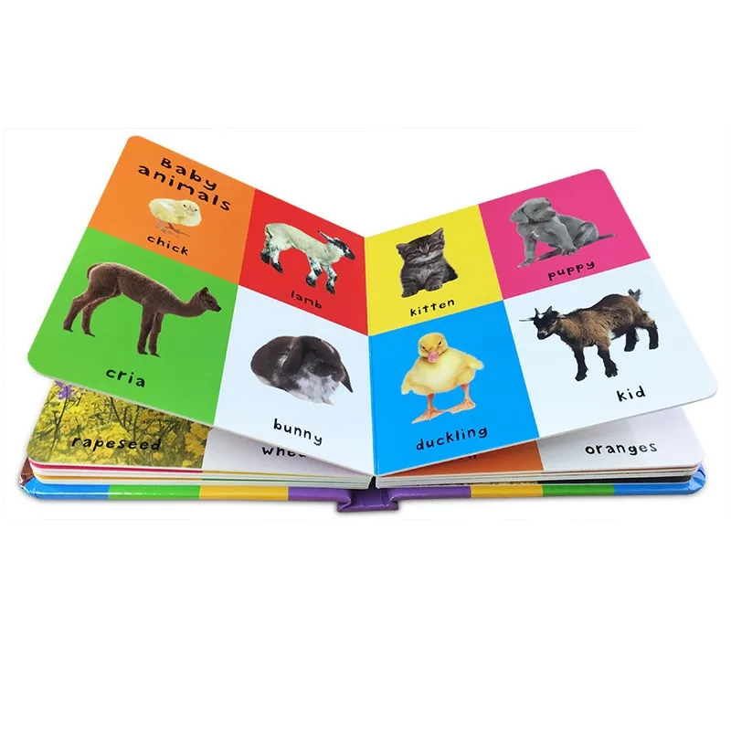 Libros de educación temprana para bebé, libro de tablero de tapa dura en inglés, con palabras de animales, aprendizaje de imágenes en inglés, 100 unidades