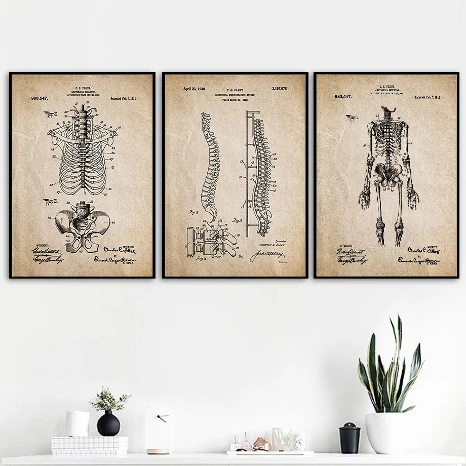 Anatomy Skeleton Foot Hand Spine Skull Vintage Art Canvas Painting Nordic Posters And Prints Wall Pictures Doctors Office Decor