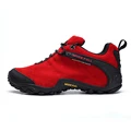 rojo 2