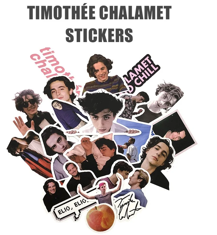 20 PCS Timothée Chalamet Photos Picture Sticker Daily Decorations Christmas New Year Birthday Gift