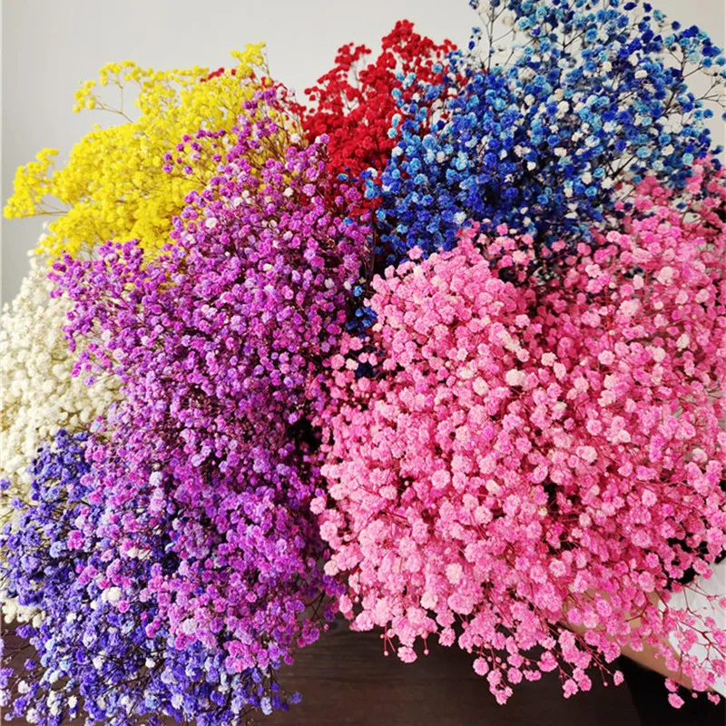 

100g Gypsophila Breath Natural Dried Preserved Baby's Bouquet Babysbreath Flowers Gedroogde Wedding Garden Decoration