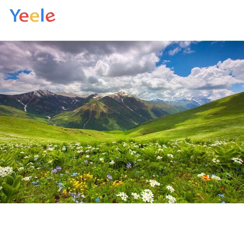 

Yeele Mountain Backdrop Grassland Flower Sky Nature Newborn Baby Birthday Party Photography Background Photo Studio Photocall