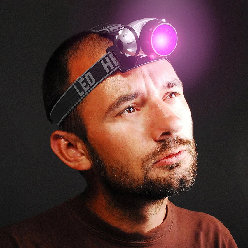 19 LED Headlamp Flashlight Lights Headlights with 4 Lighting Modes, Pet Urine Detector, Adjustable Comfortable for Adults