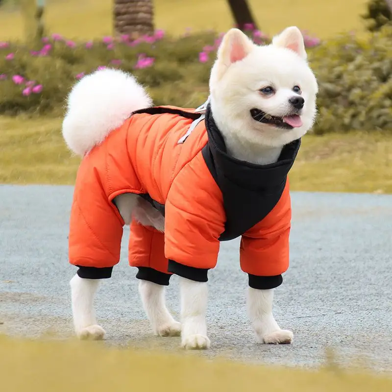 

Spring Winter Pet Dog Warm Coat Waterproof Hooded Jacket for Small Dogs Chihuahua Cat Reflective Pet Clothing Outfits