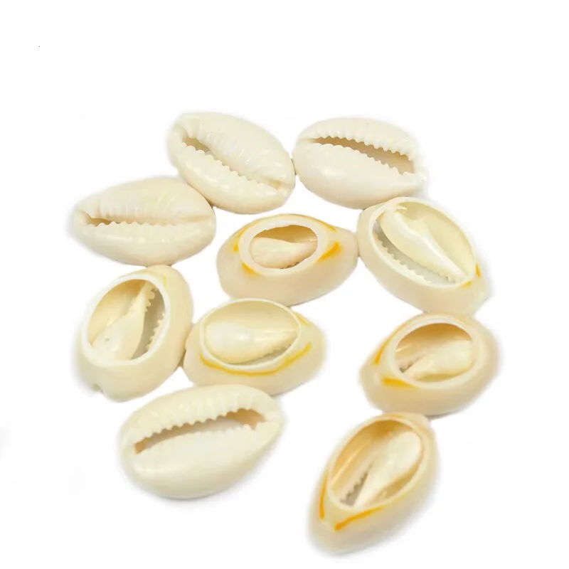 Natural Small Conch Shape  Sea Shell For Jewelry Making DIY Finding Supplies Accessories 50Pcs/Lot Seashell Necklace Bracelet