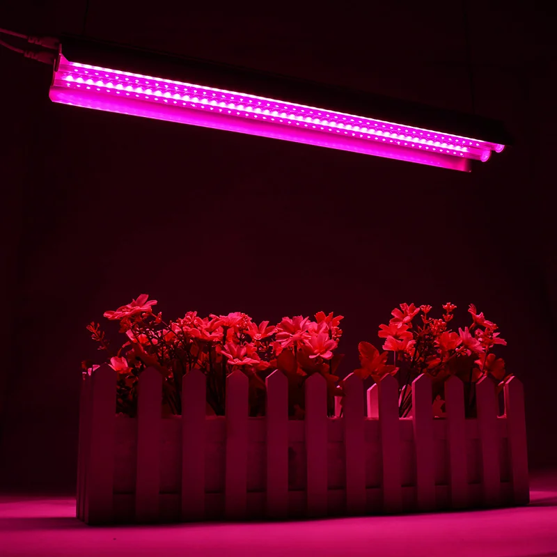 Imagem -02 - Lâmpada Led de 500w para Cultivo. Espectro Completo 50cm Lâmpada para Cultivo Interno e Hidropônico Tomada ue Eua.