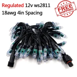 Cable negro regulado bullet pixel, 1000 piezas, 100CT, 12V de CC, WS2811, 18awg con Ray wu/paul/xconnect, Envío Gratis por DHL