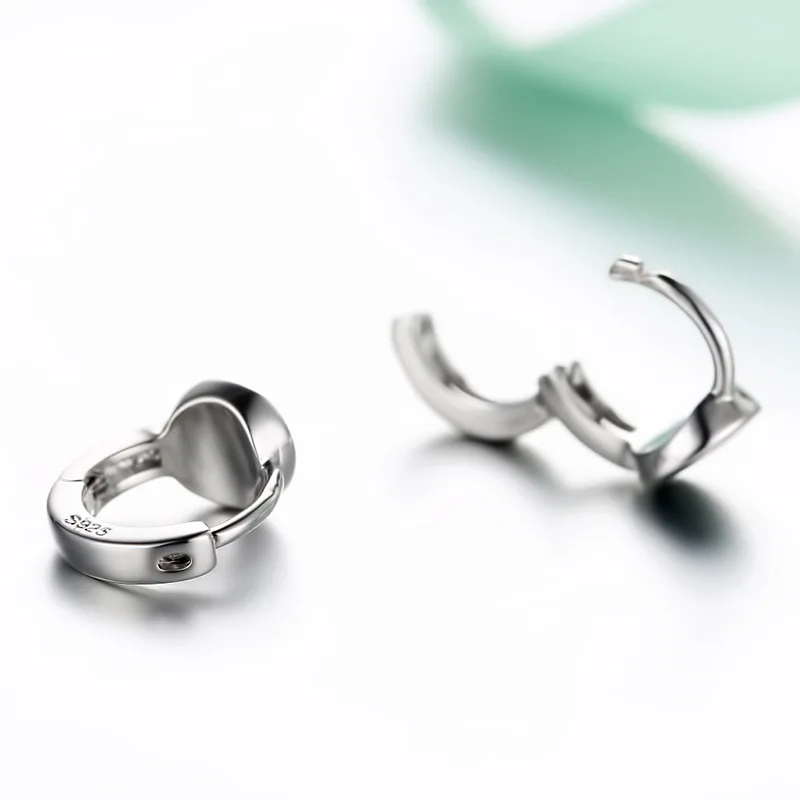 Cellacity Silver  Earrings Women Fine Jewelry With Black Gemstones For Charm Lady Female  Ear Drops Women Party Gift